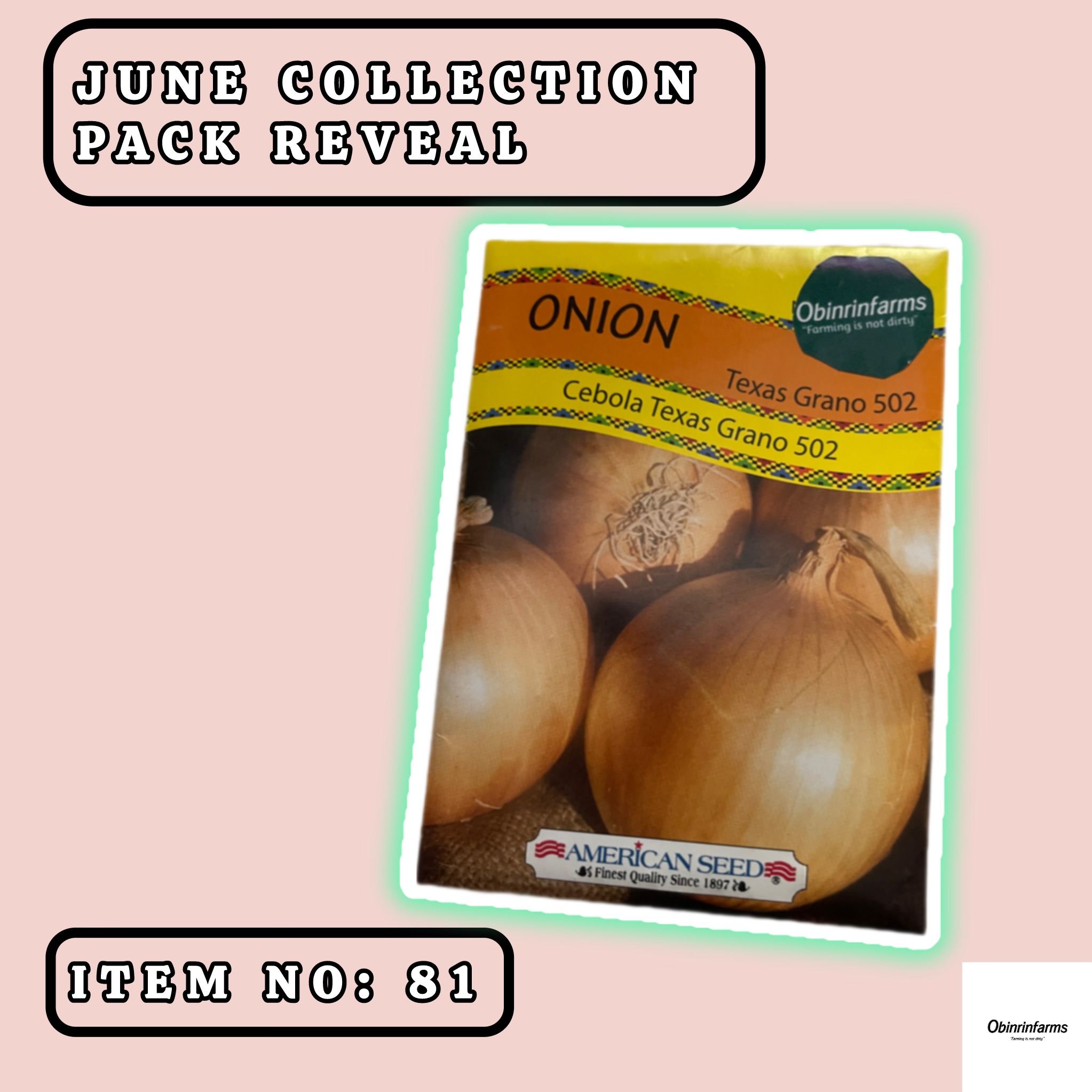 Texas Grano 502 Onion Seeds