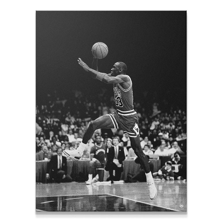 Michael Jordan Basketball Poster