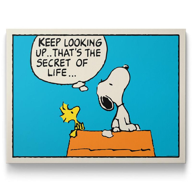 Peanuts Comic Wall Art