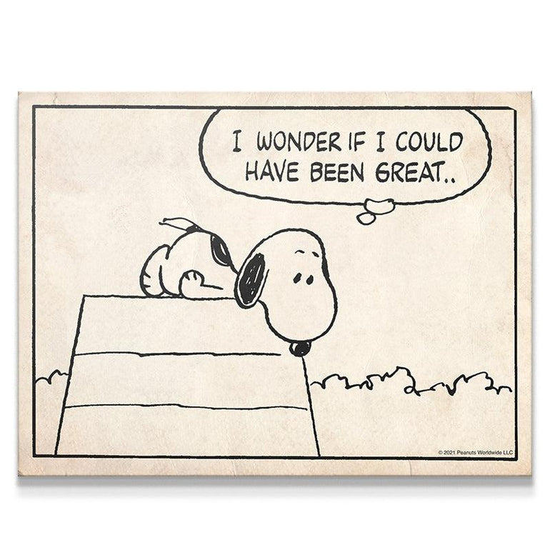 Snoopy Comic Wall Art