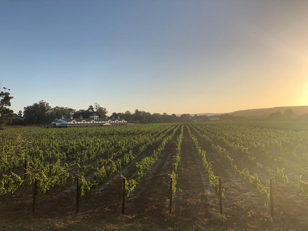 Garden Route Wine farms tours