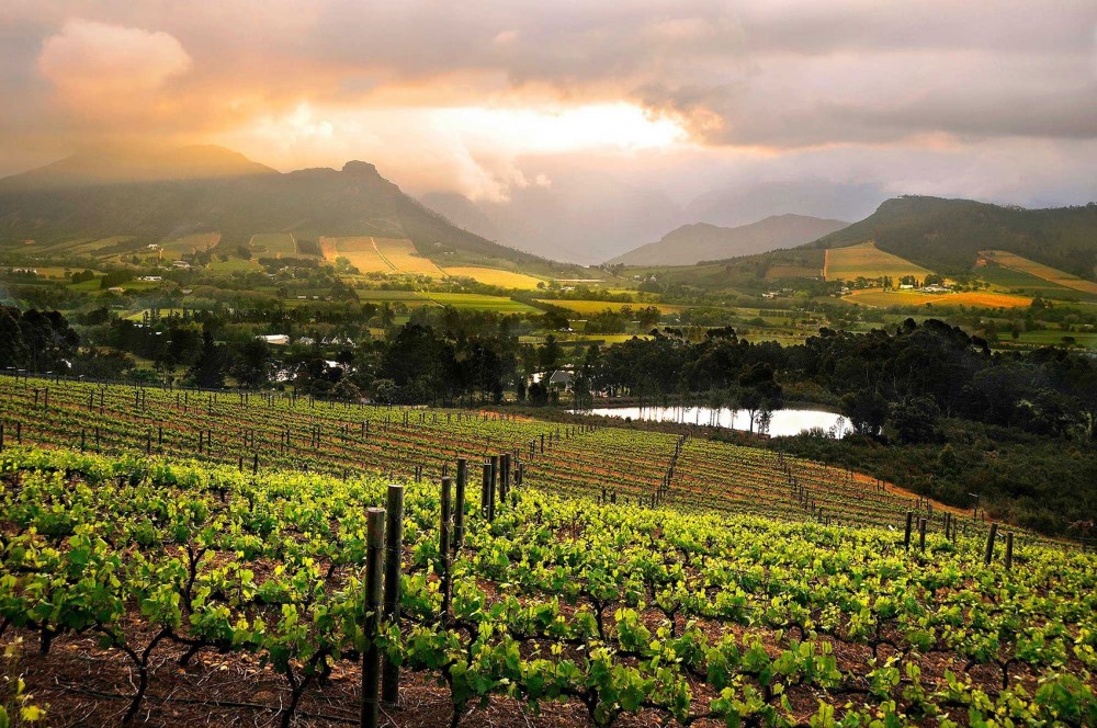 Garden Route Wine farms tours