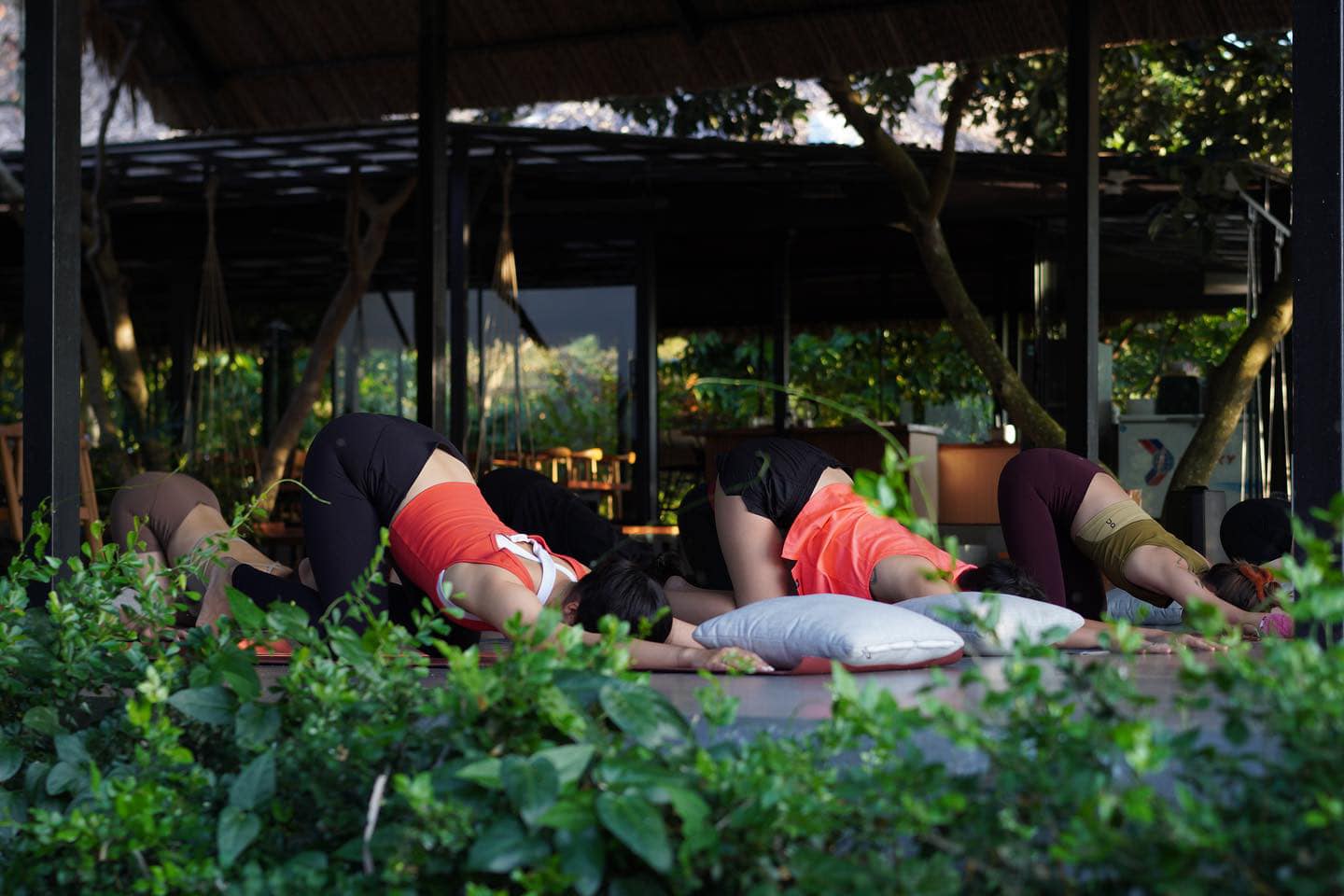 ☀️ Retraite Zen du Sud : 14 Jours d'Harmonie et de Détox