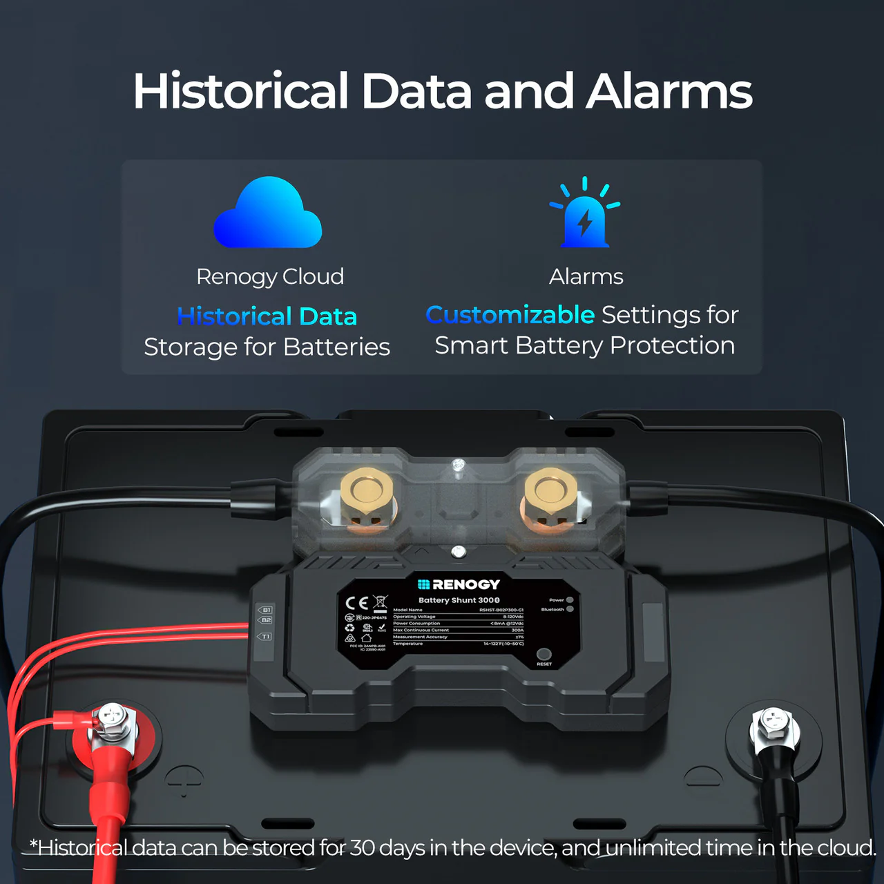 Renogy 300A Battery Shunt