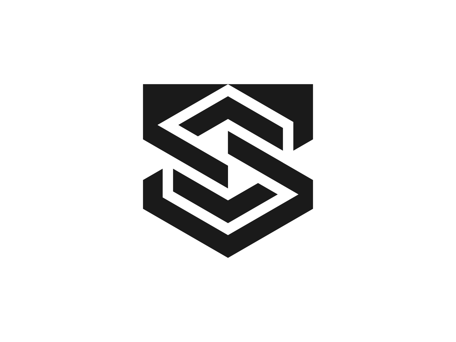 Modern Geometric Logo Design