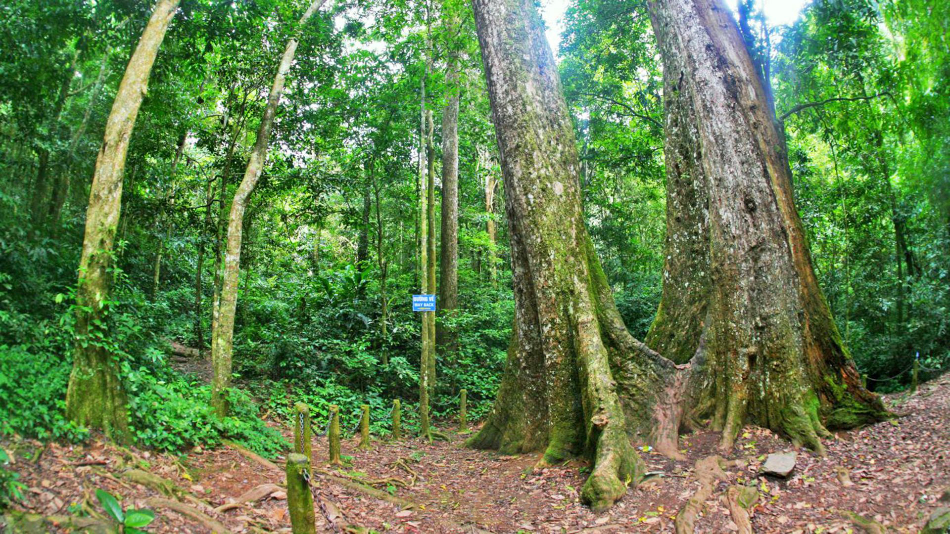 Ninhbinh 2 Days 1 Night :  Hanoi - Cuc Phuong - Tam Coc