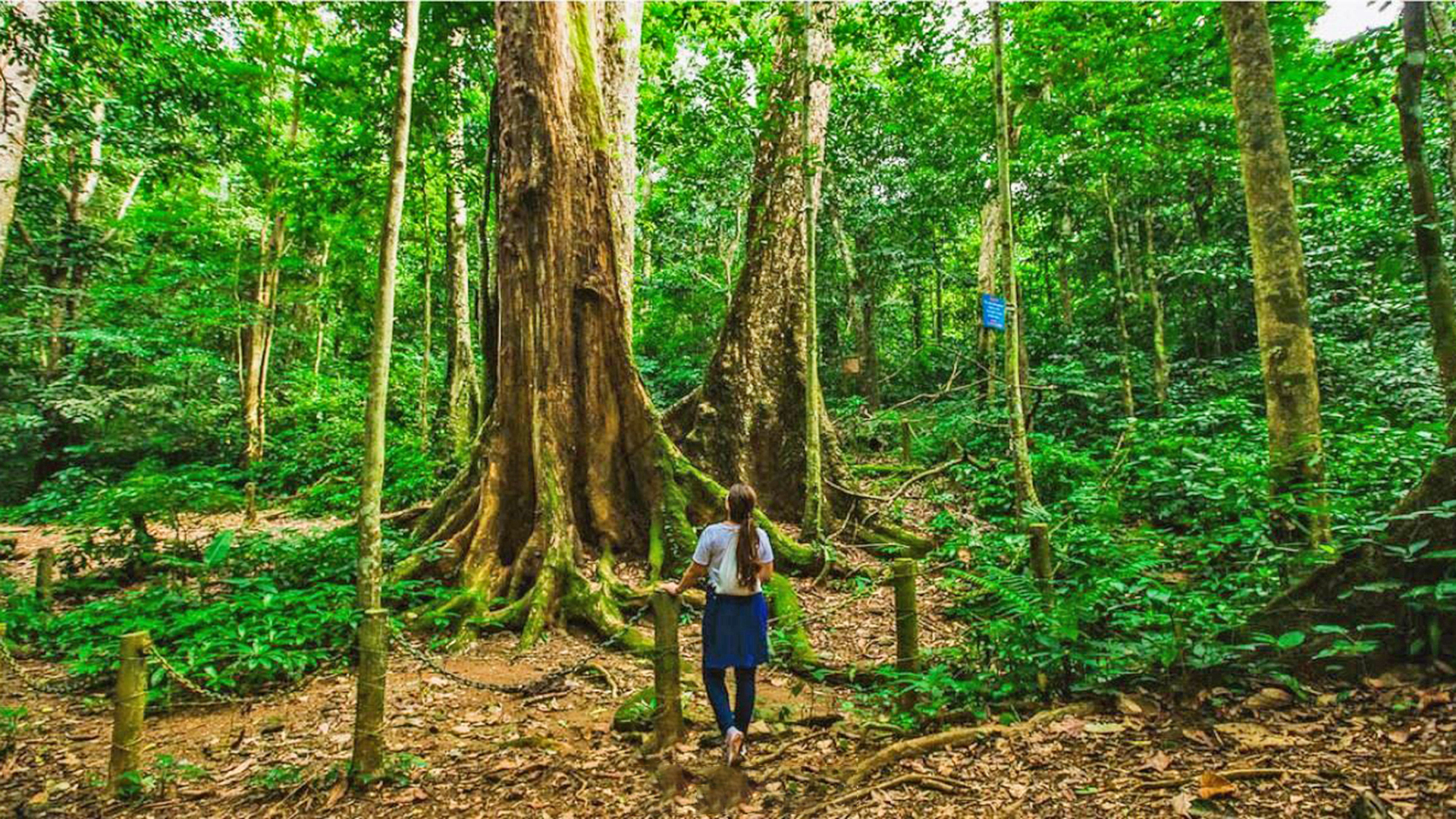 Ninhbinh 2 Days 1 Night :  Hanoi - Cuc Phuong - Tam Coc