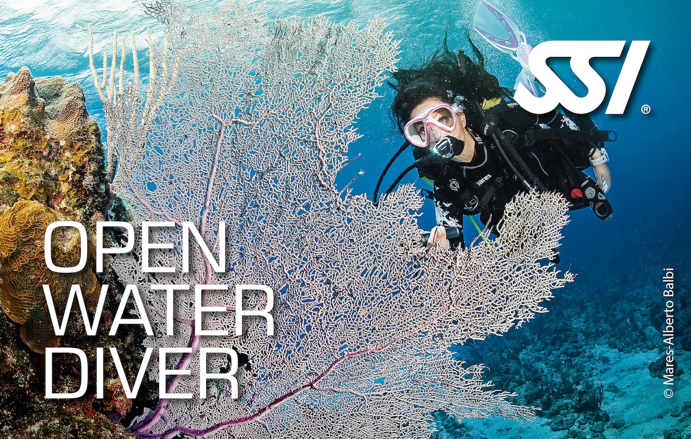 Open Water Diver (3 Days)