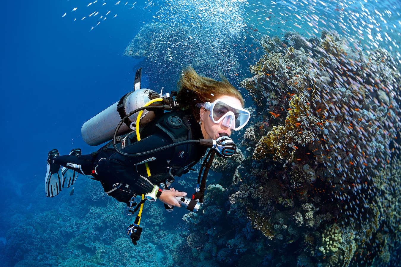 Guided Tour (2 hours)