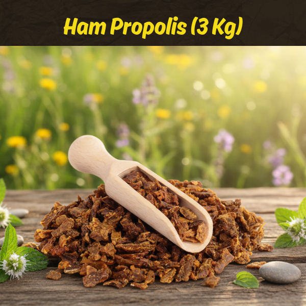 Ham Propolis (3 Kg)