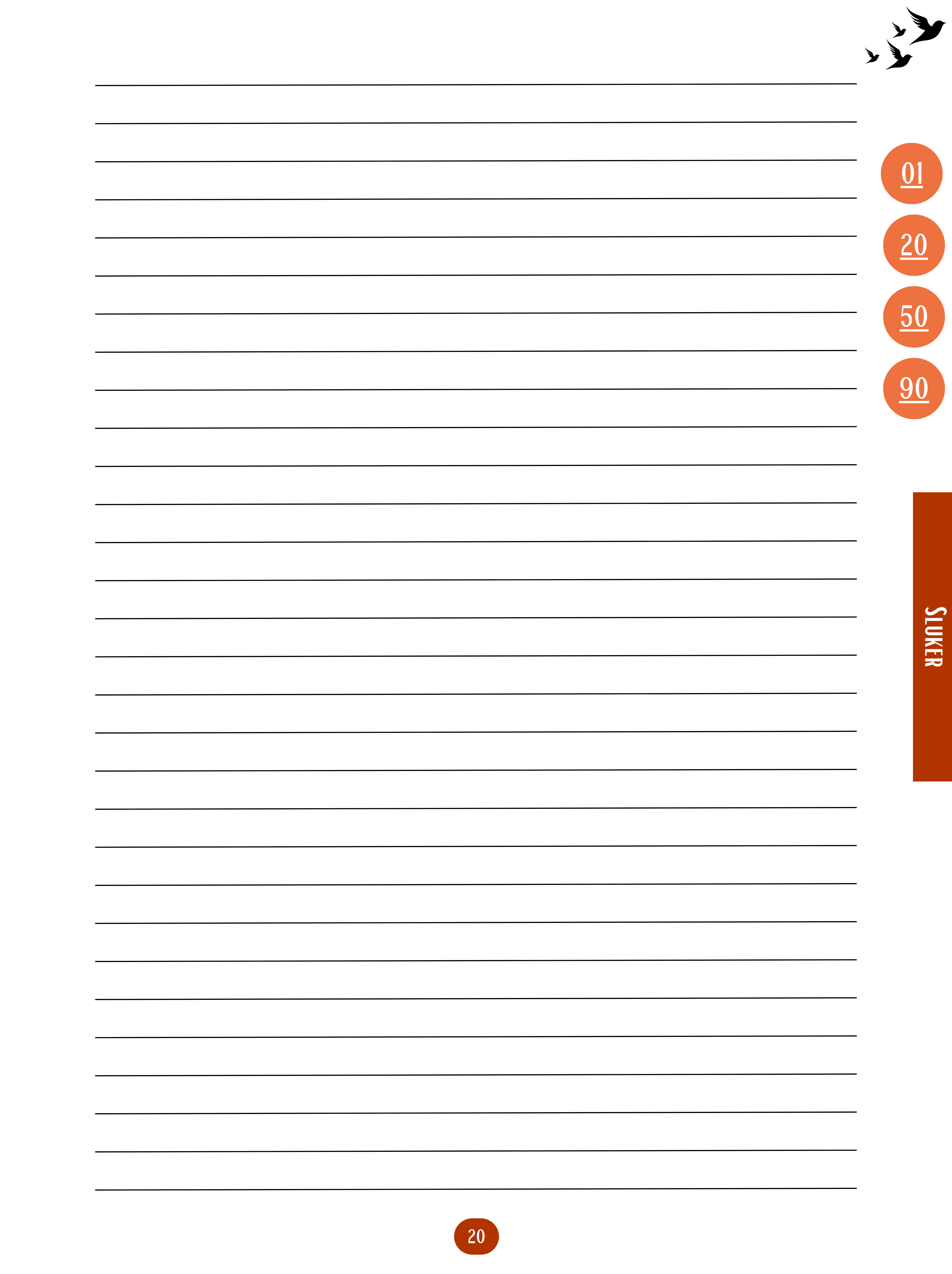 Caderno Digital Sluker Classic - Orange Color 100 páginas