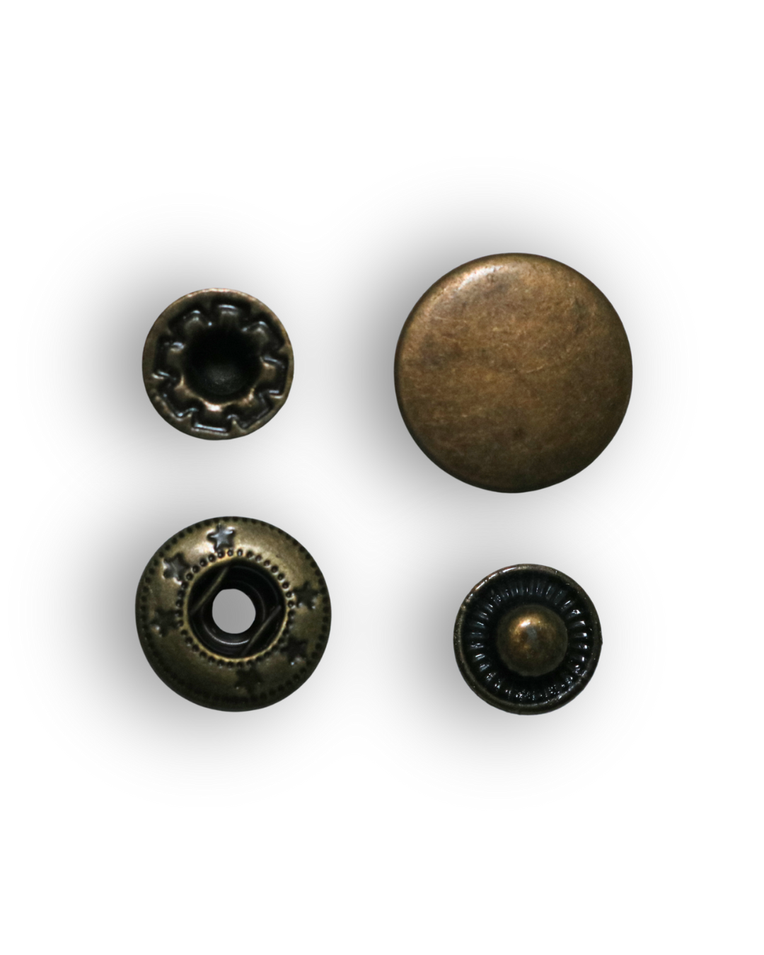 Broche resorte de bronce