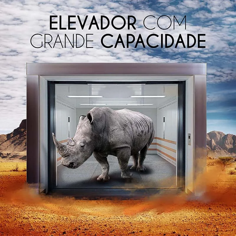 Elevadores de Carga e Veículos