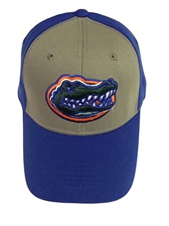Florida Gators Brunswick One Fit Baseball Cap