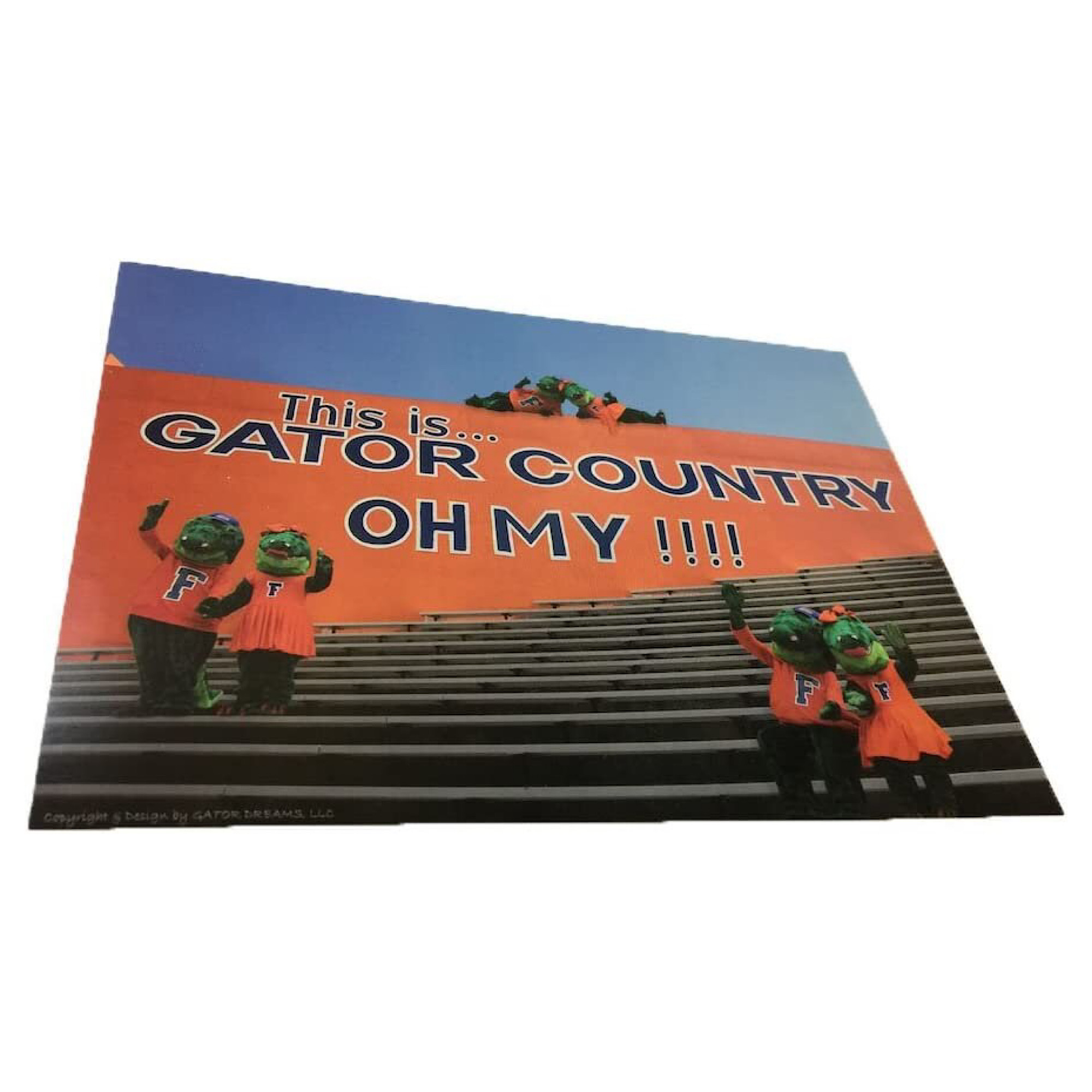 Florida Gators Postcard Choose Style