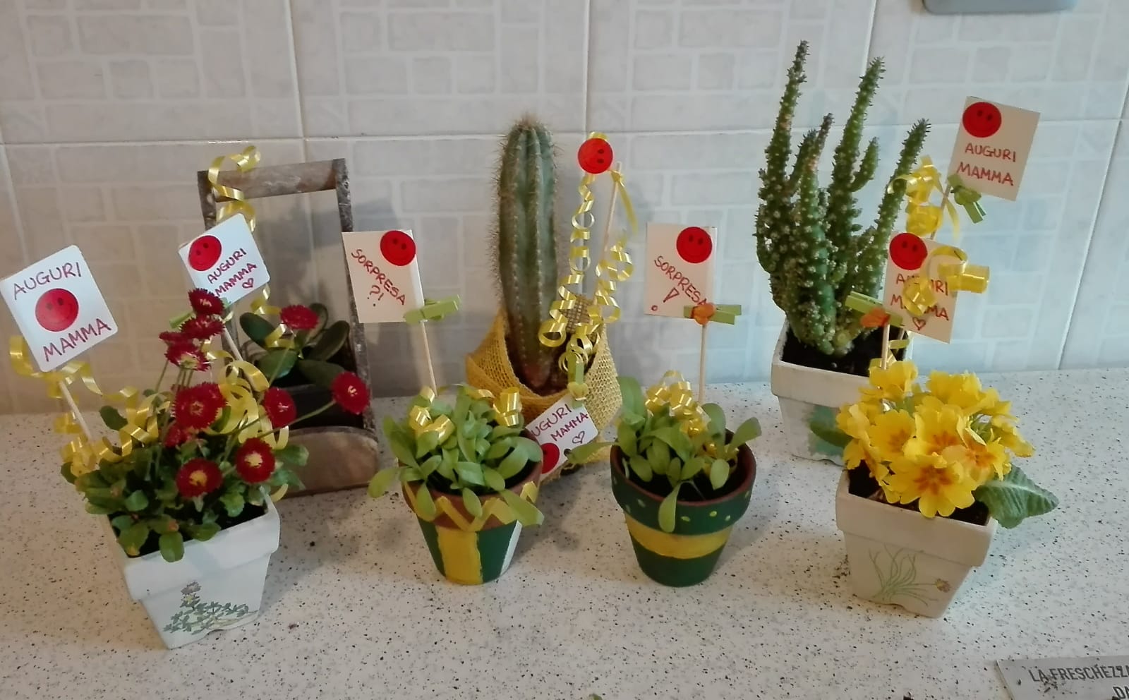 Corso di formazione per Caregiver 