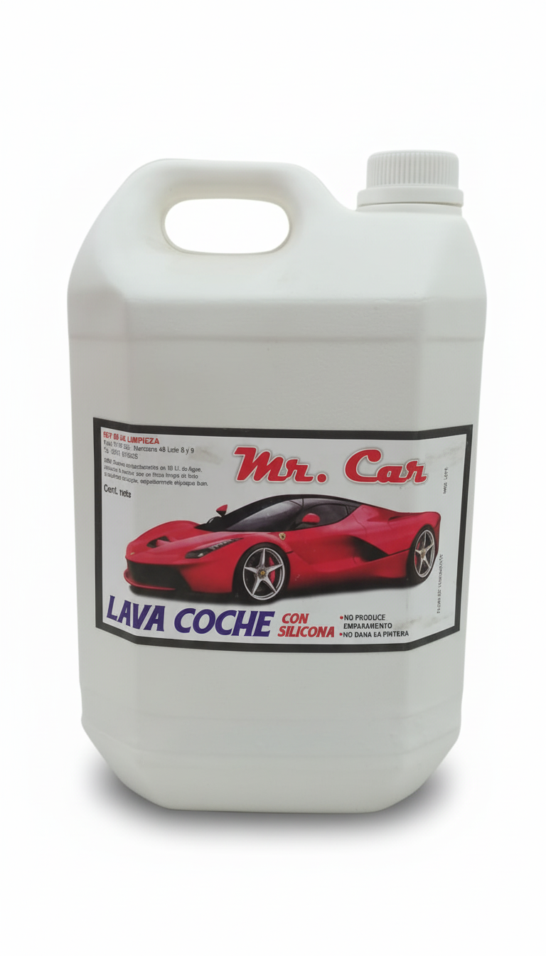 Lava Coche con Silicona Mr. Car