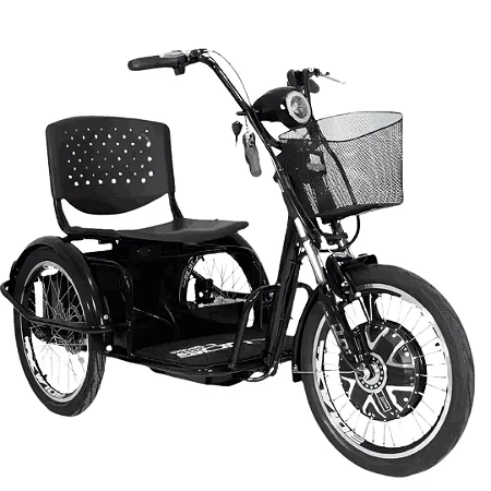 Triciclo Elétrico Fox - 800W