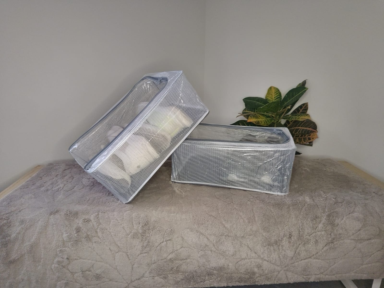 Organizadores transparentes de zapatos 2 pares