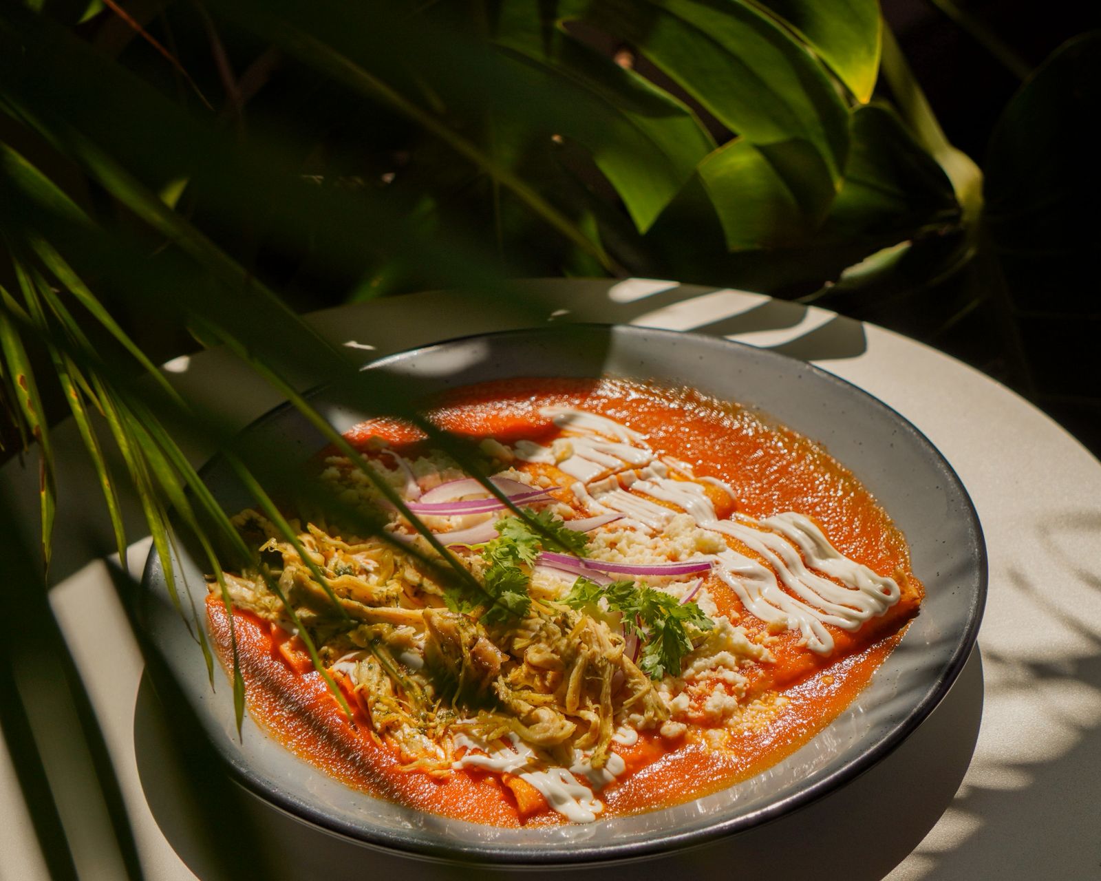 ENTOMATADAS VERDES O ROJAS (Pollo, Huevo o Tasajo)