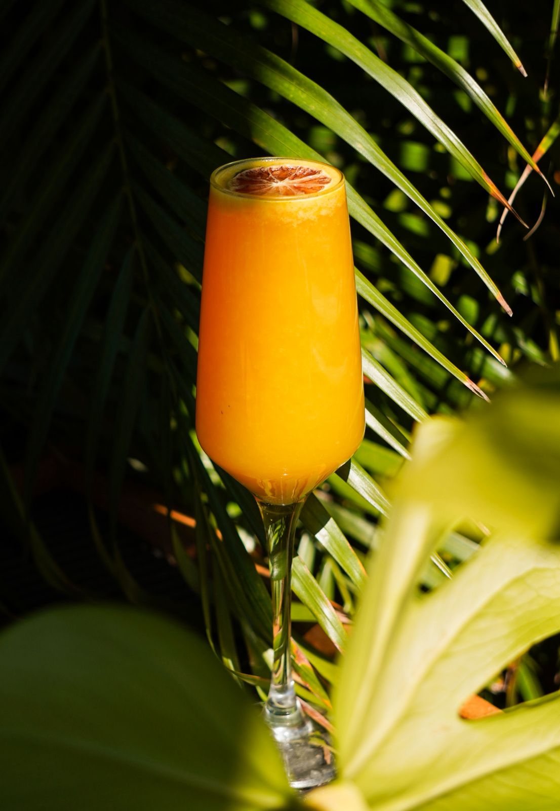 Mimosa (Jugo de naranja y vino espumoso)
