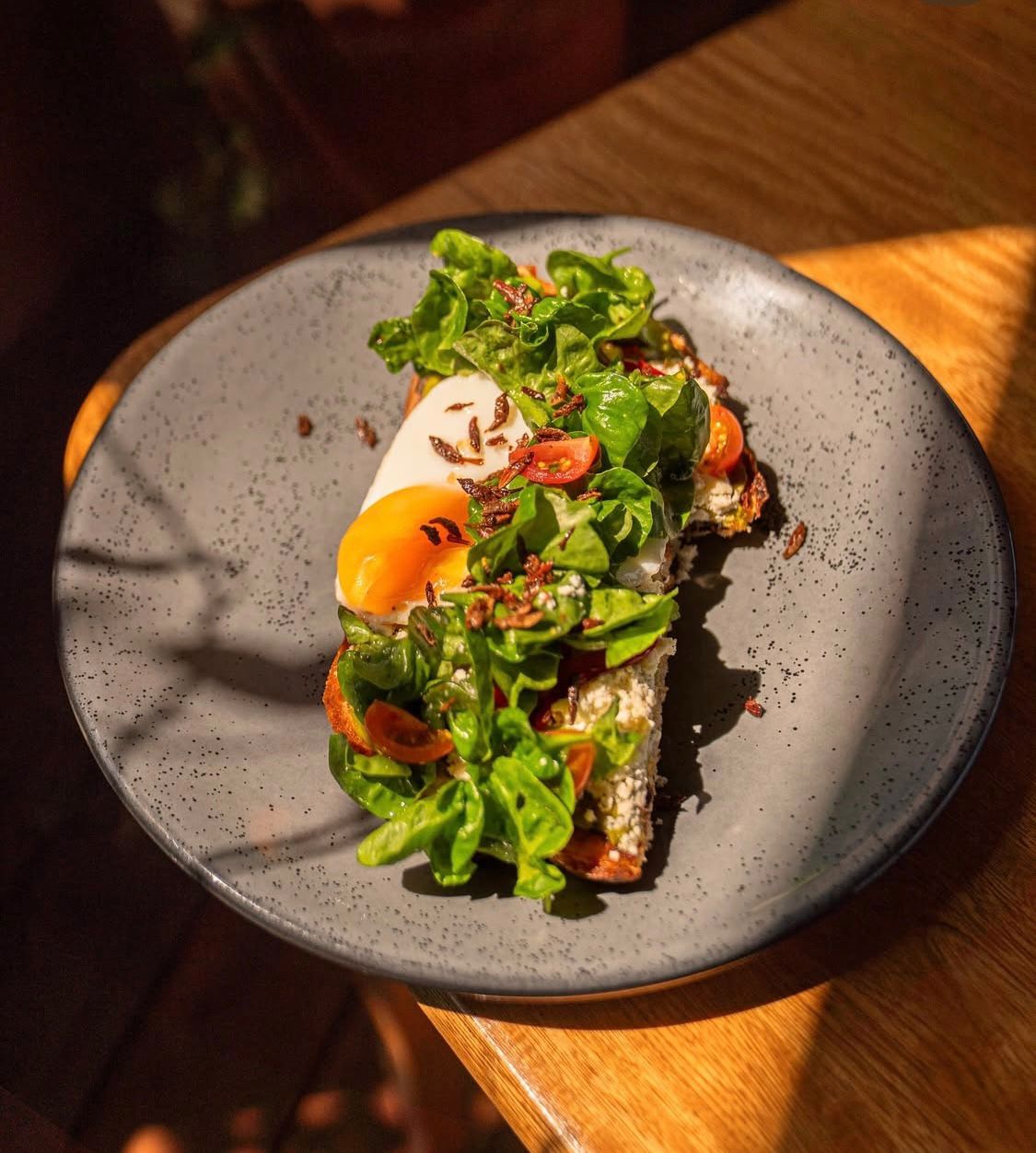 TOAST DE AGUACATE Y CHAPULINES