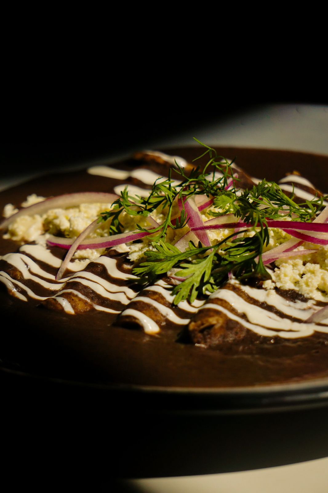 ENFRIJOLADAS (Pollo, Huevo o Tasajo)