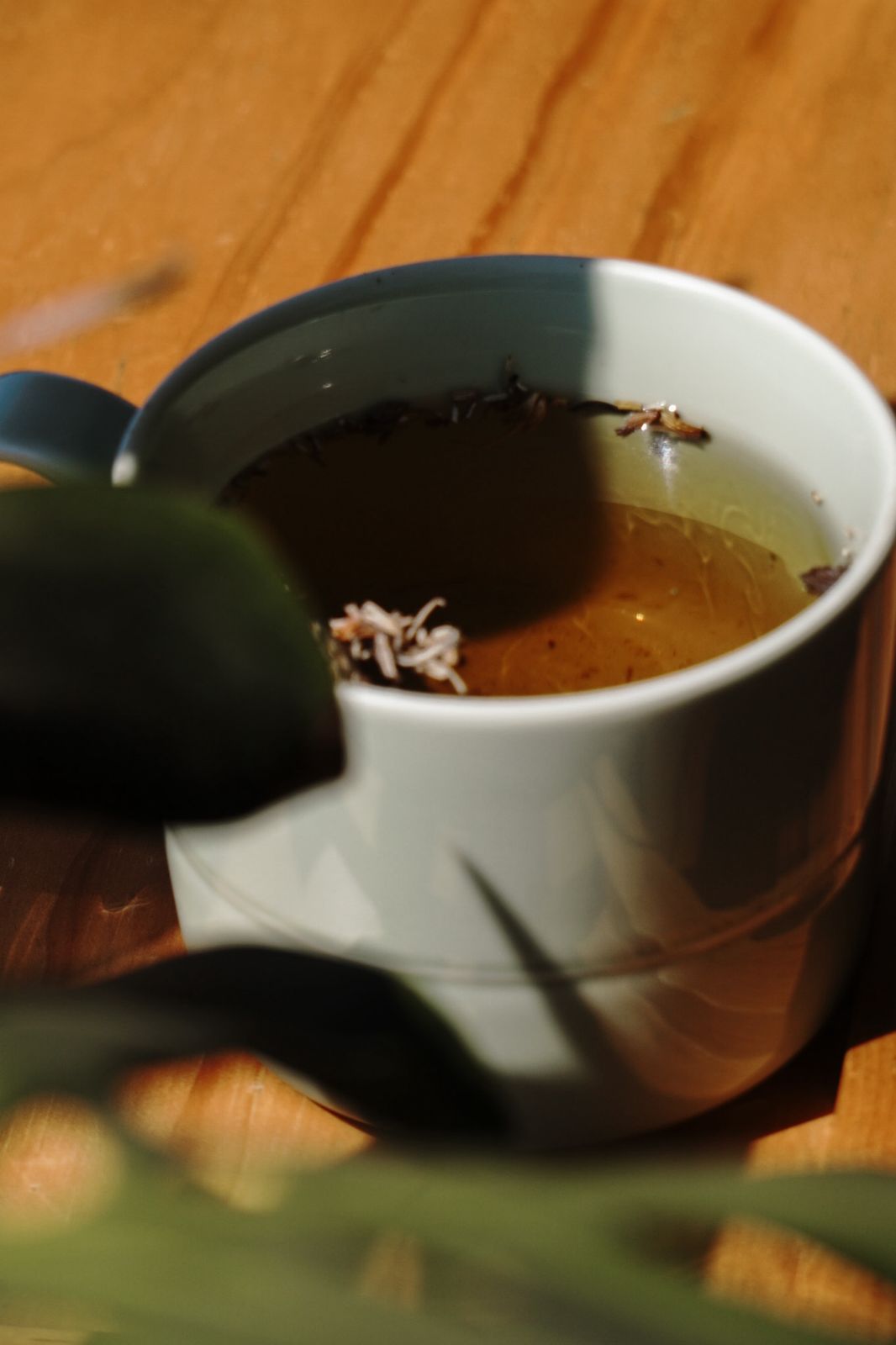 Manzanilla con lavanda