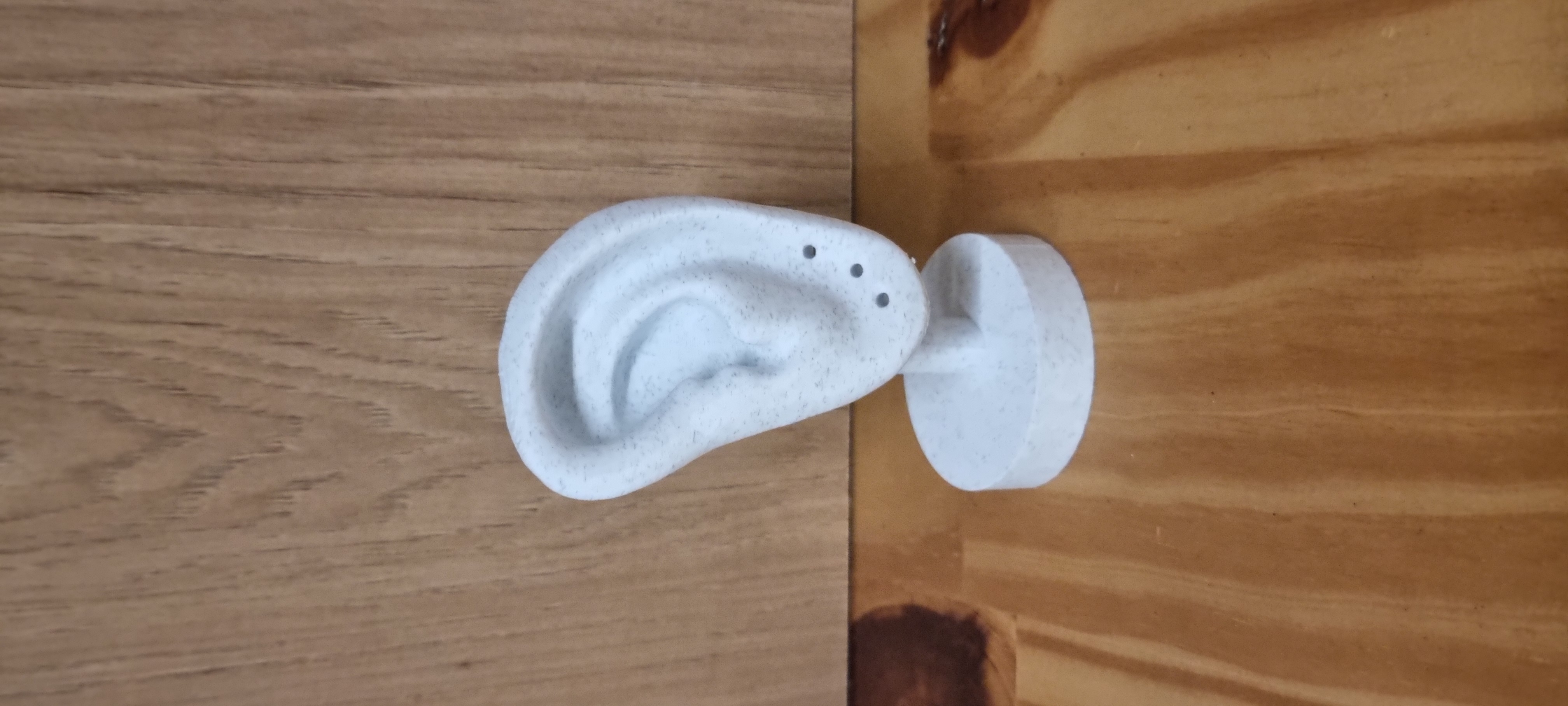 Escultura de Orelha Porta Brinco