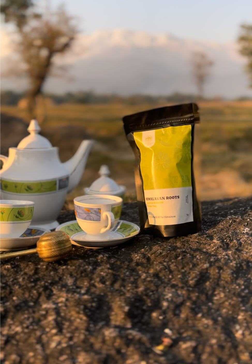 Himalayan Roots Camellia Sinensis (Green Tea)