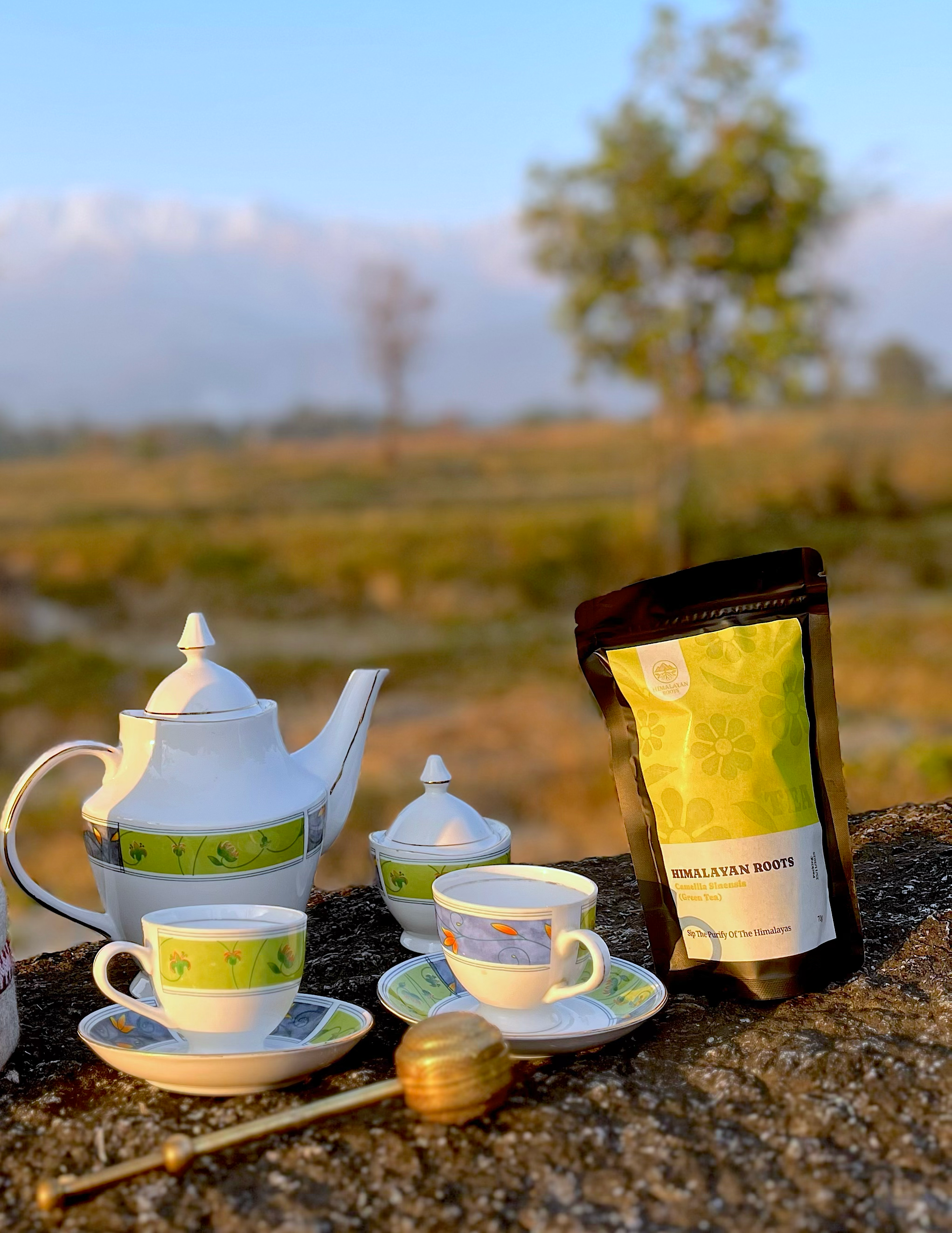 Himalayan Roots Camellia Sinensis (Green Tea)