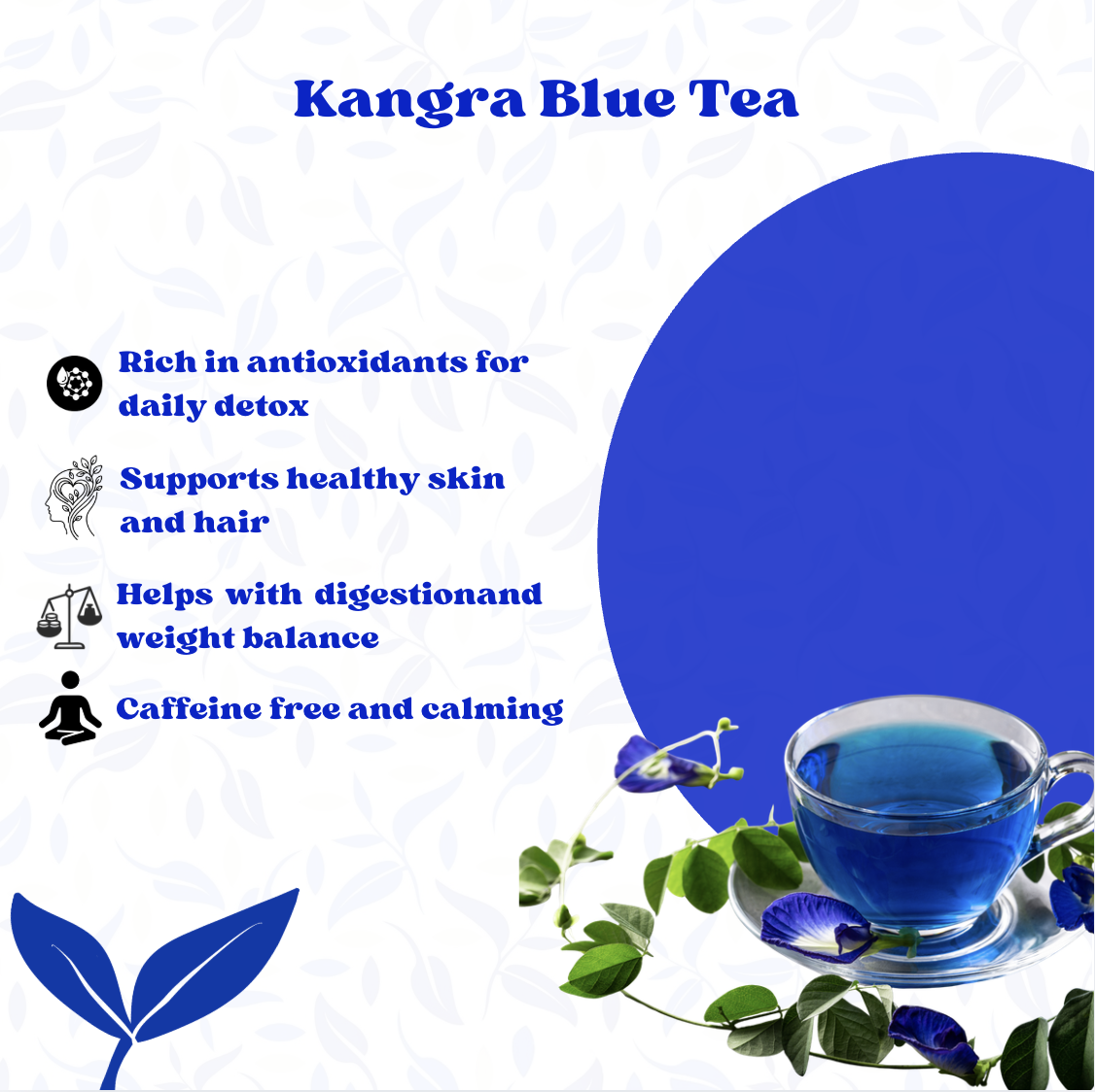 Kangra Blue Tea