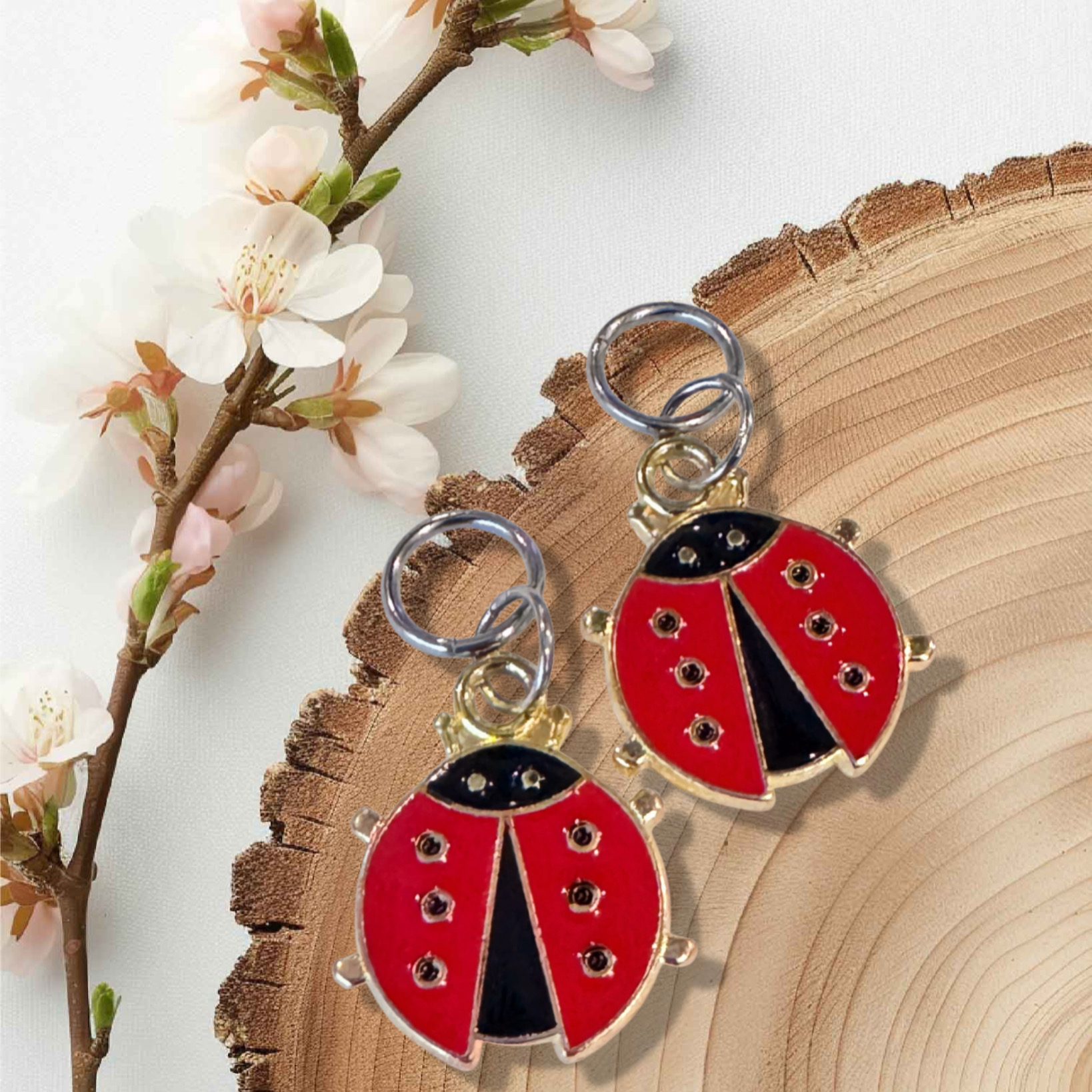 Ladybugs