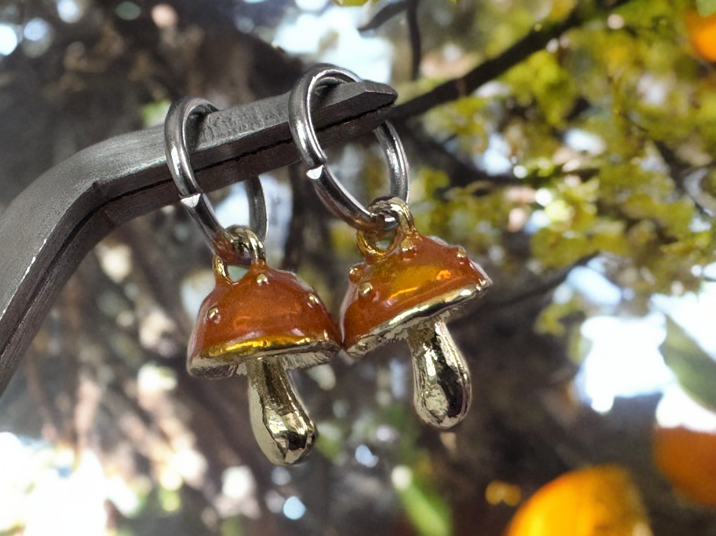 Orange Fungi 