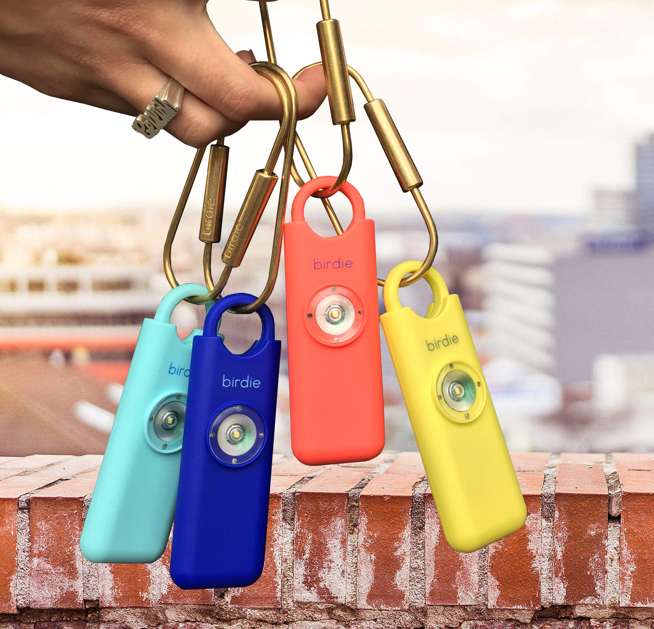 Alarm Keychain