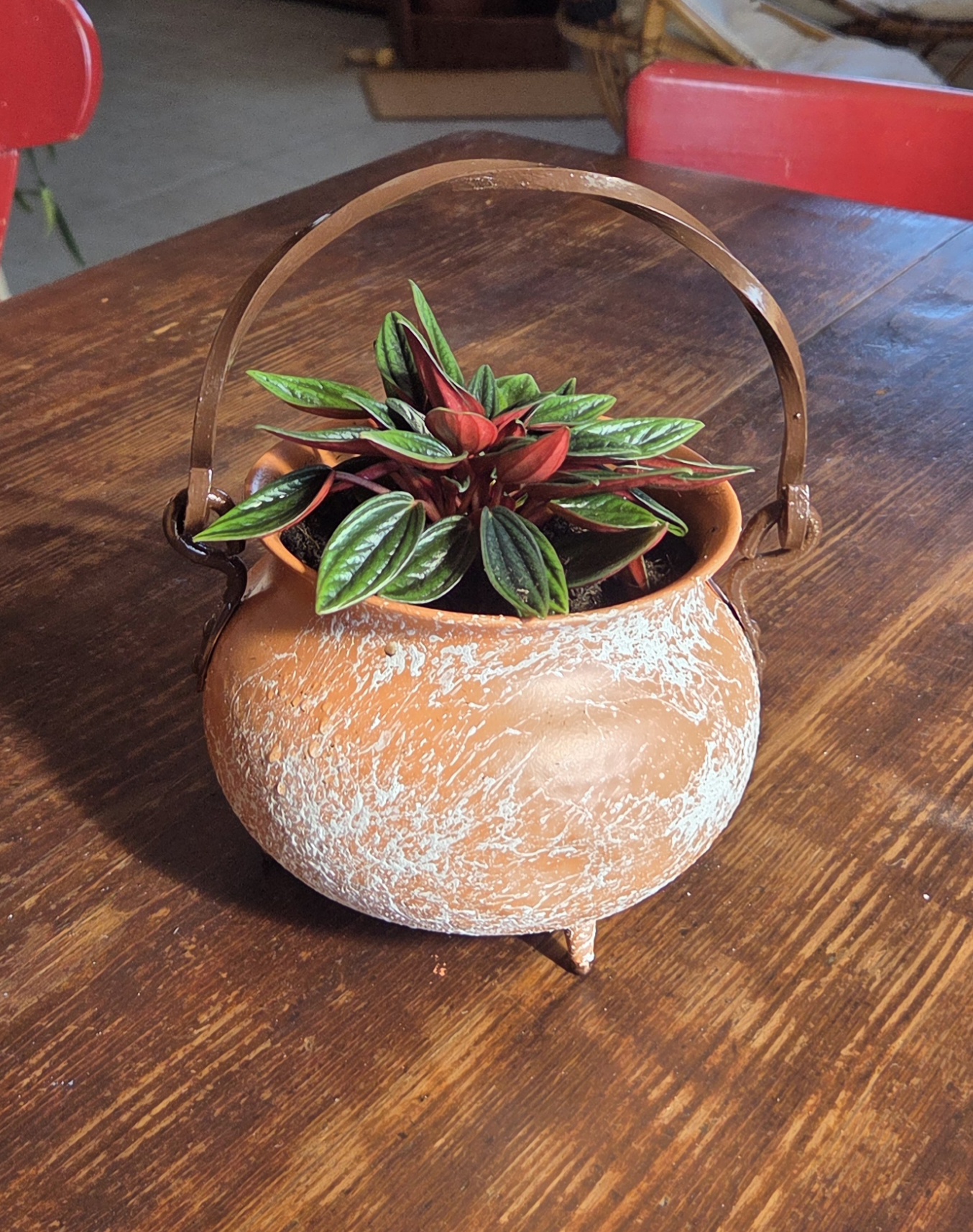 "Gaston" le chaudron (en cuivre)