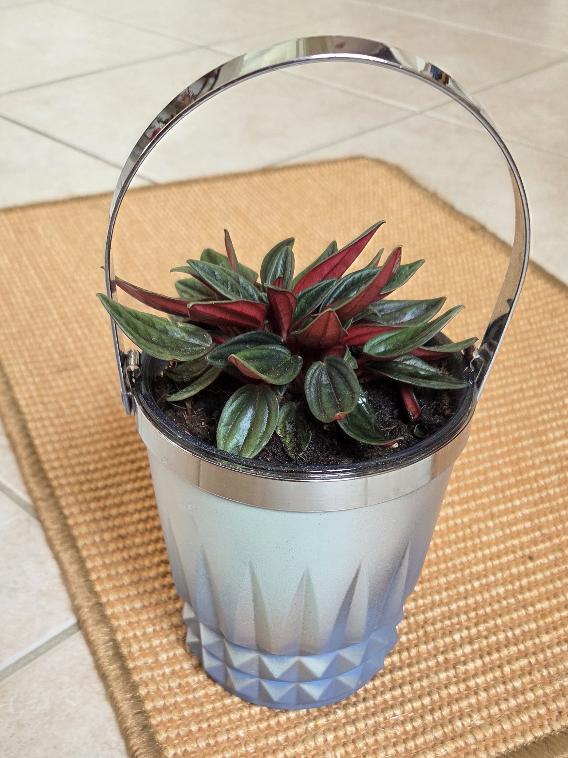 "Gédéon" le seau à glaçons en cristal