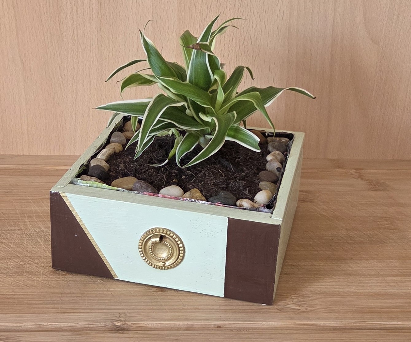 "Oscar" le petit tiroir