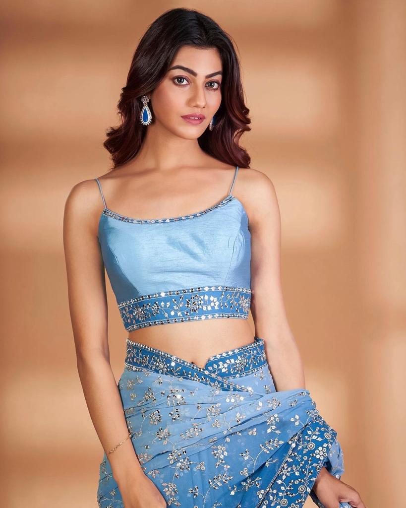 Dreamy ocean custom ensemble Saree