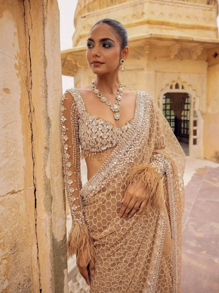 Dreamy Nude elegant saree ensemble