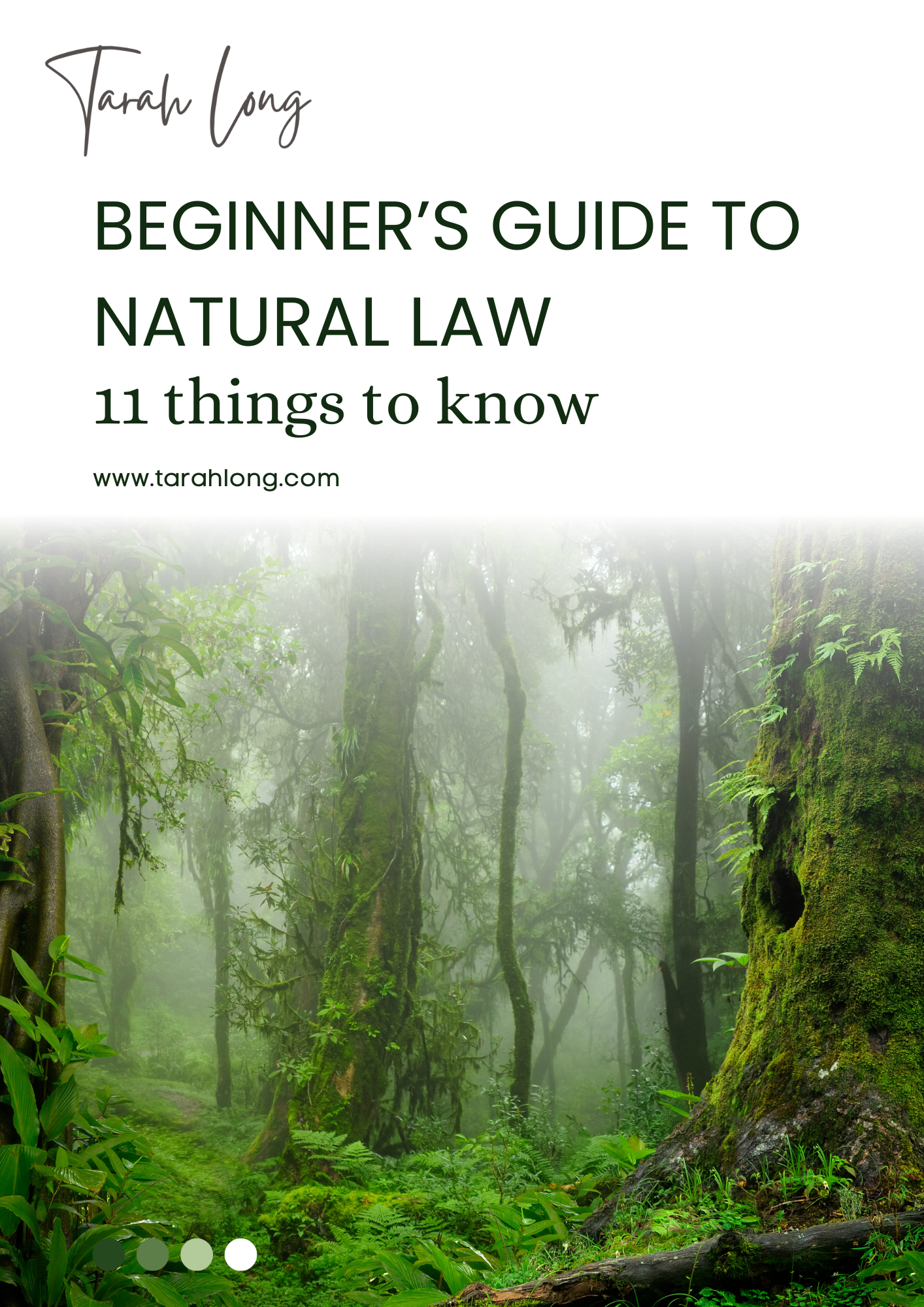 Beginners Guide to Natural Law PDF