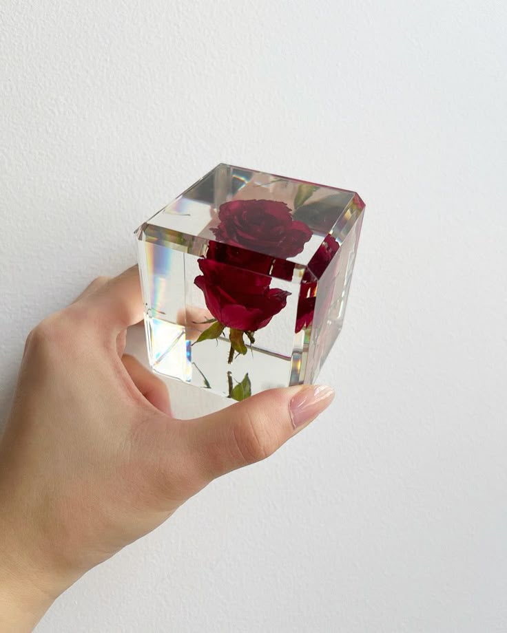 Preserved Red Rose in Resin Cube