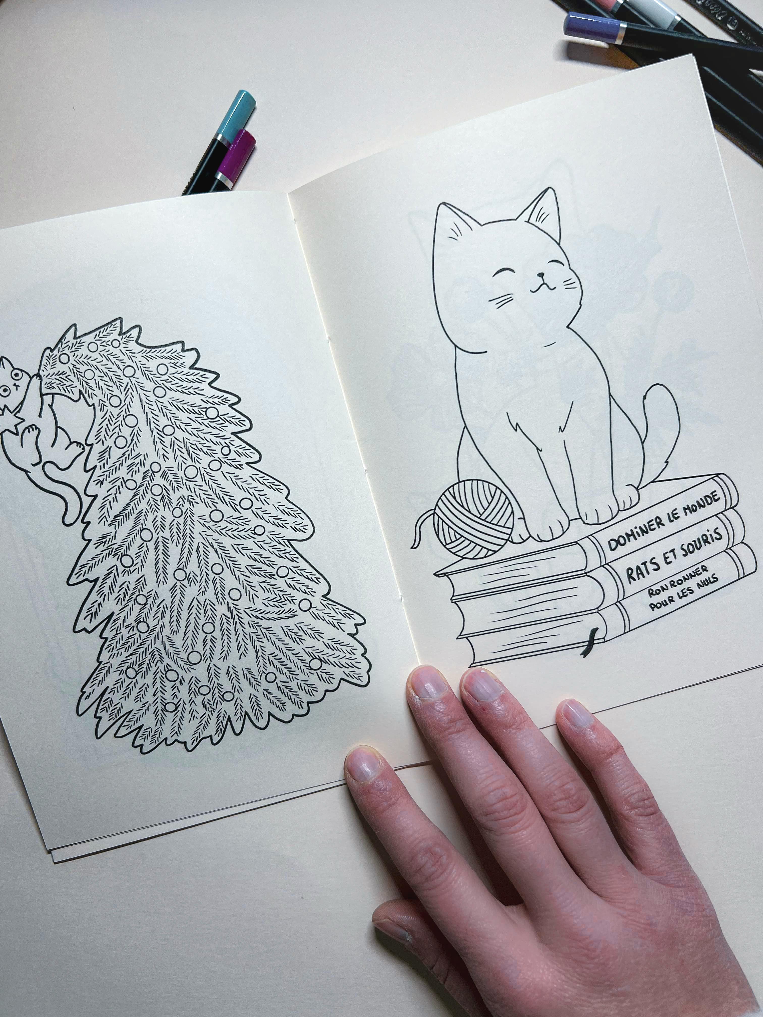 Livre de coloriage 