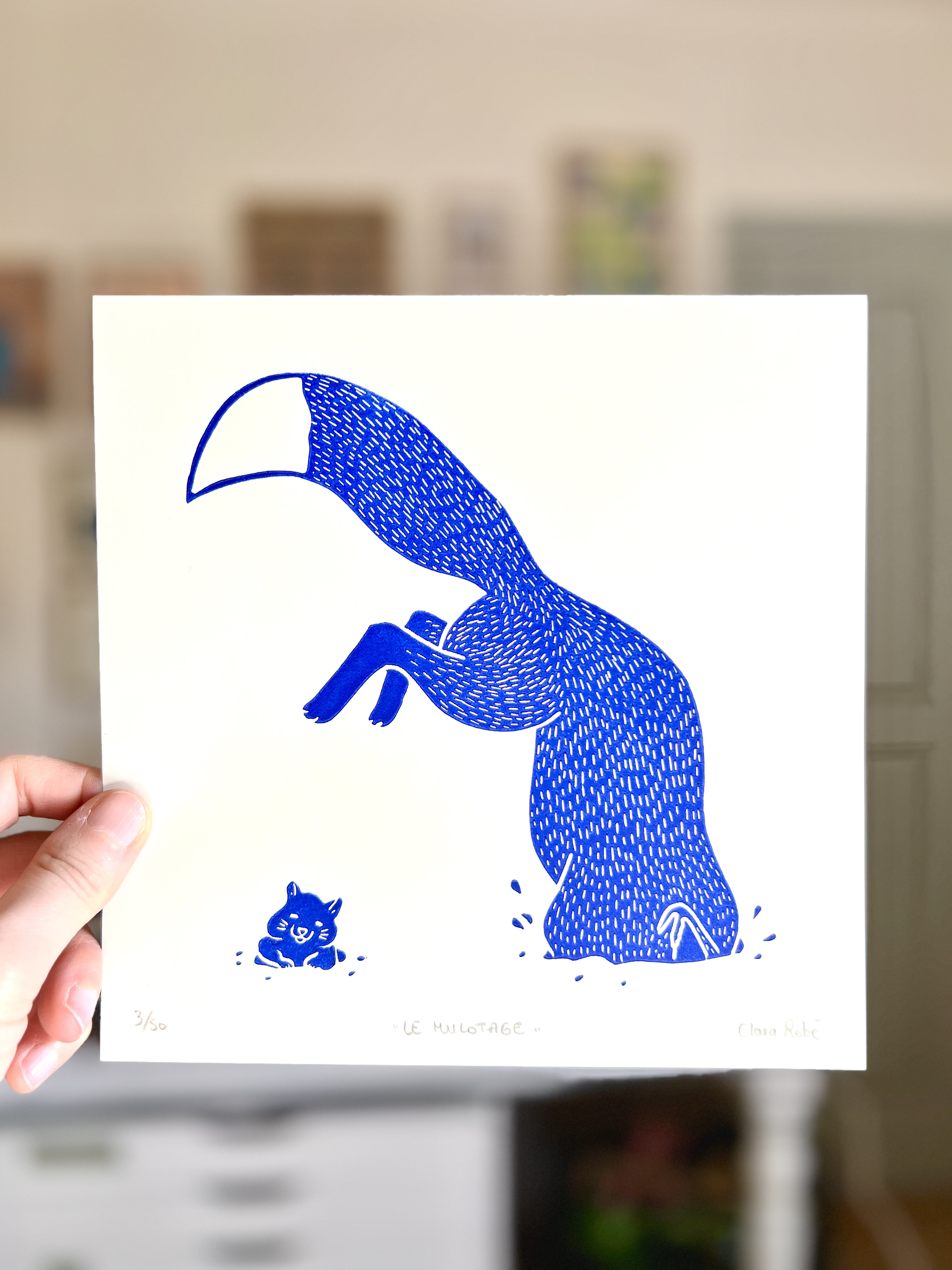 Mulotage bleu outre-mer 