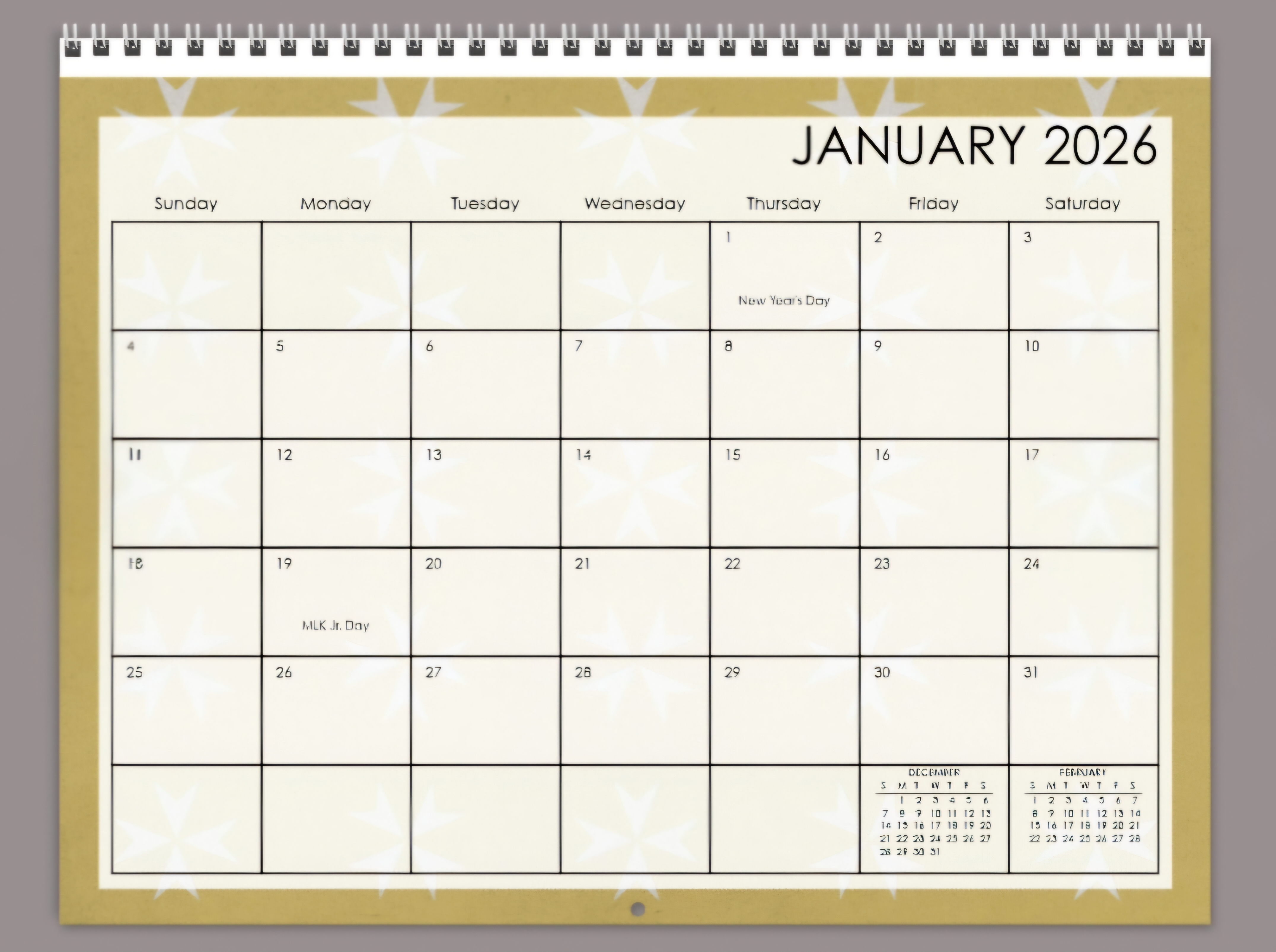 2026 Wall Calendar (spicy)