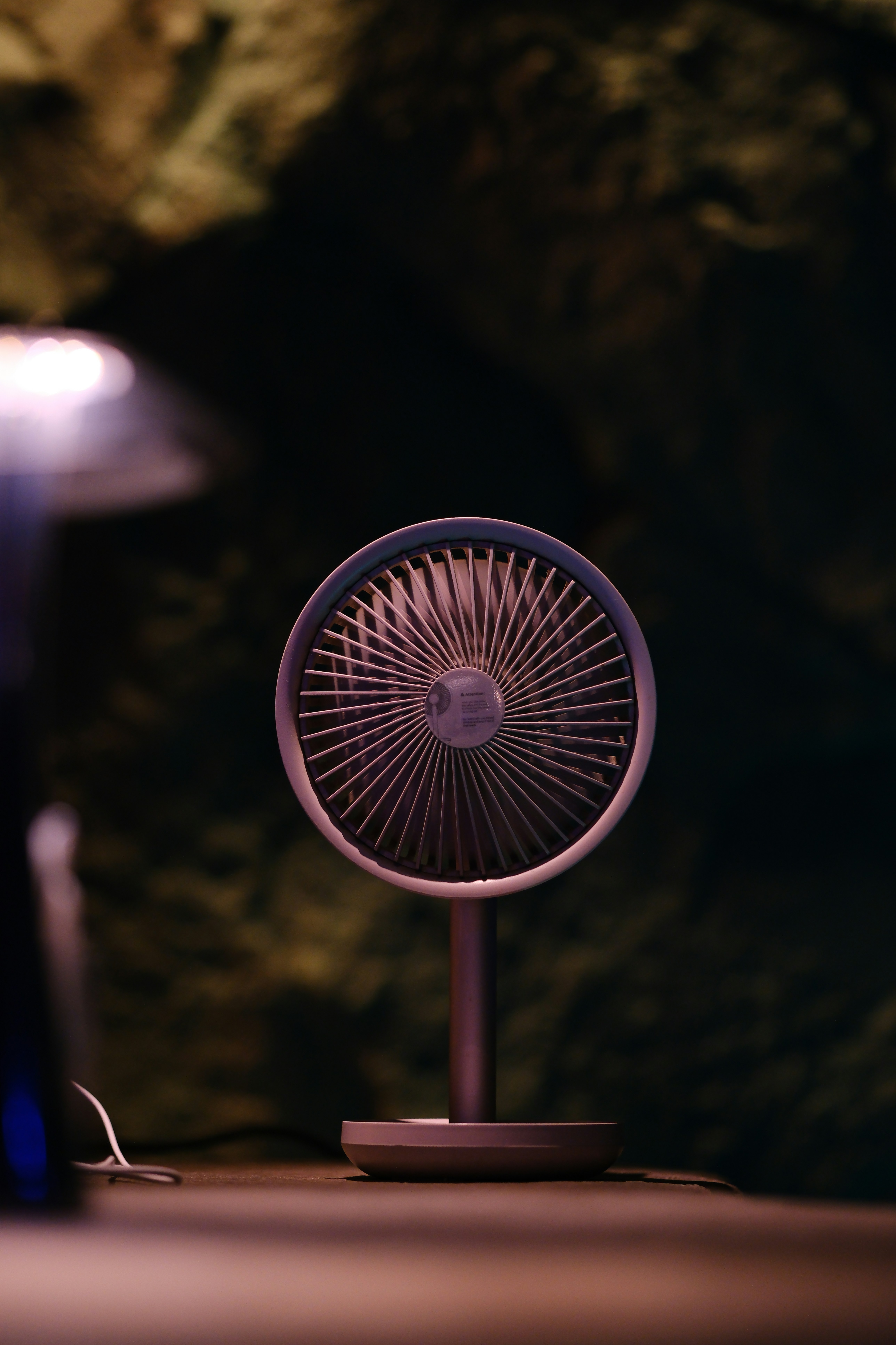 Desktop Electric Fan