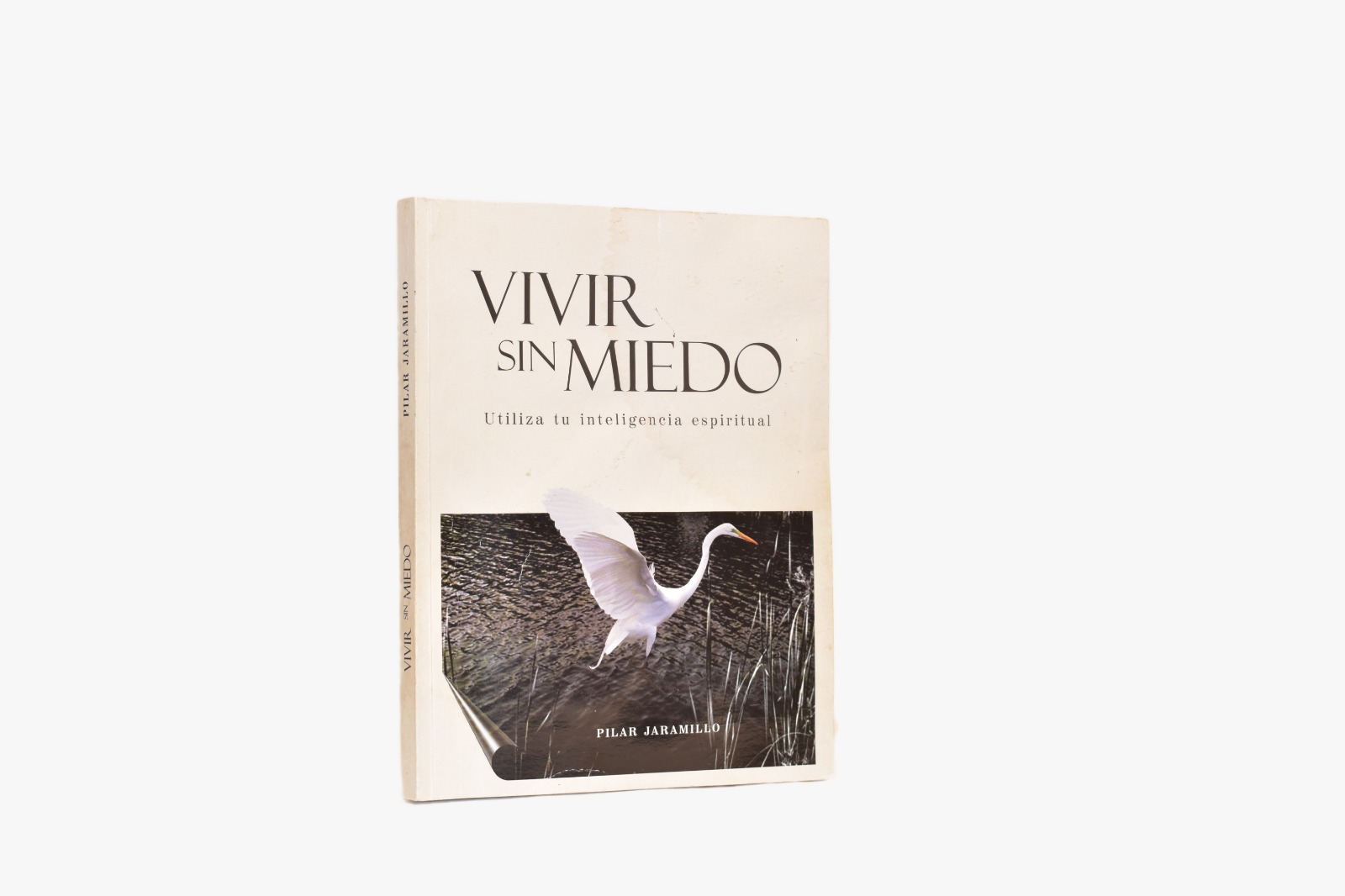Vivir Sin Miedo by Pilar Jaramillo