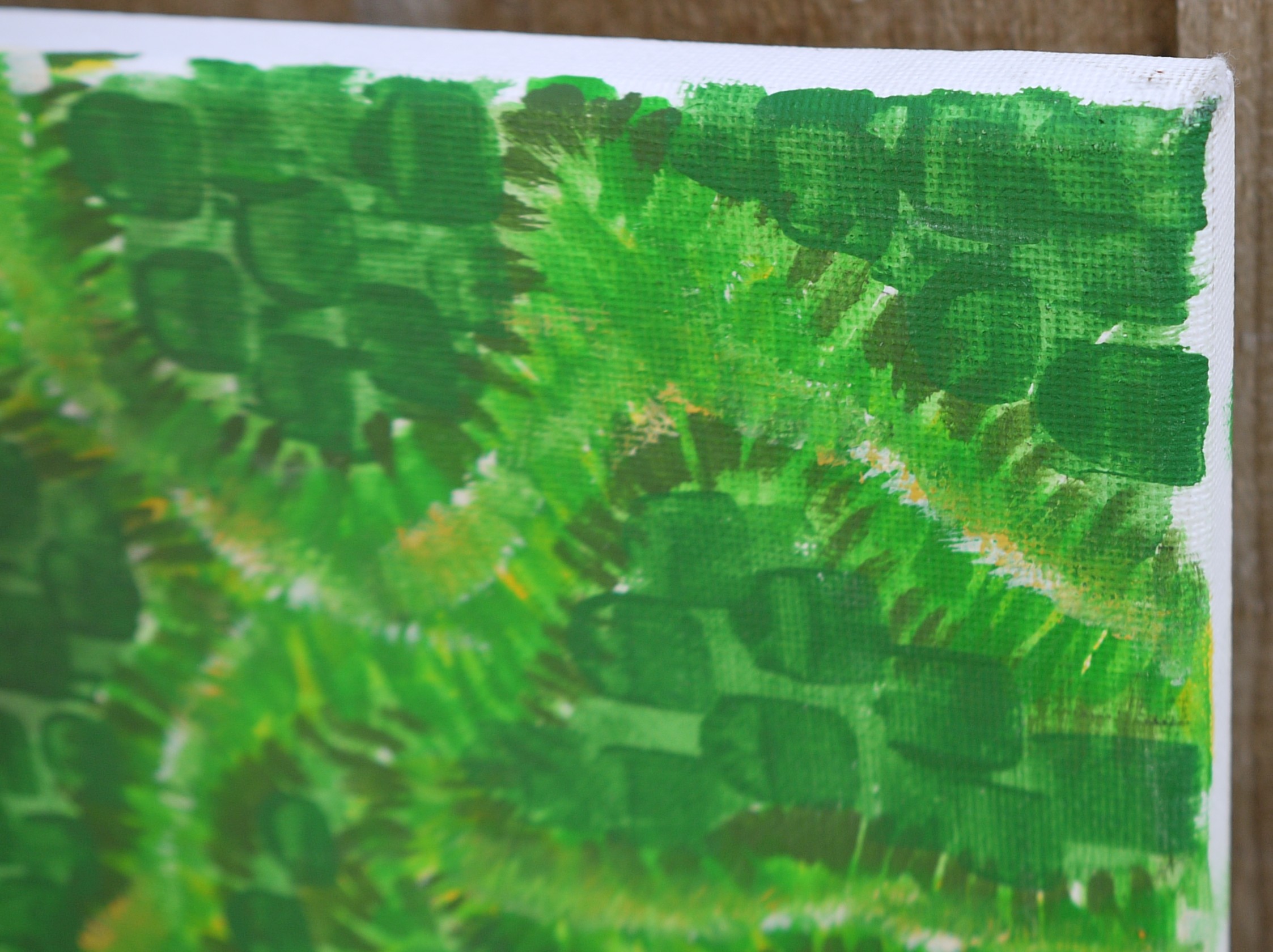 Wilf - Five-armed brittle star