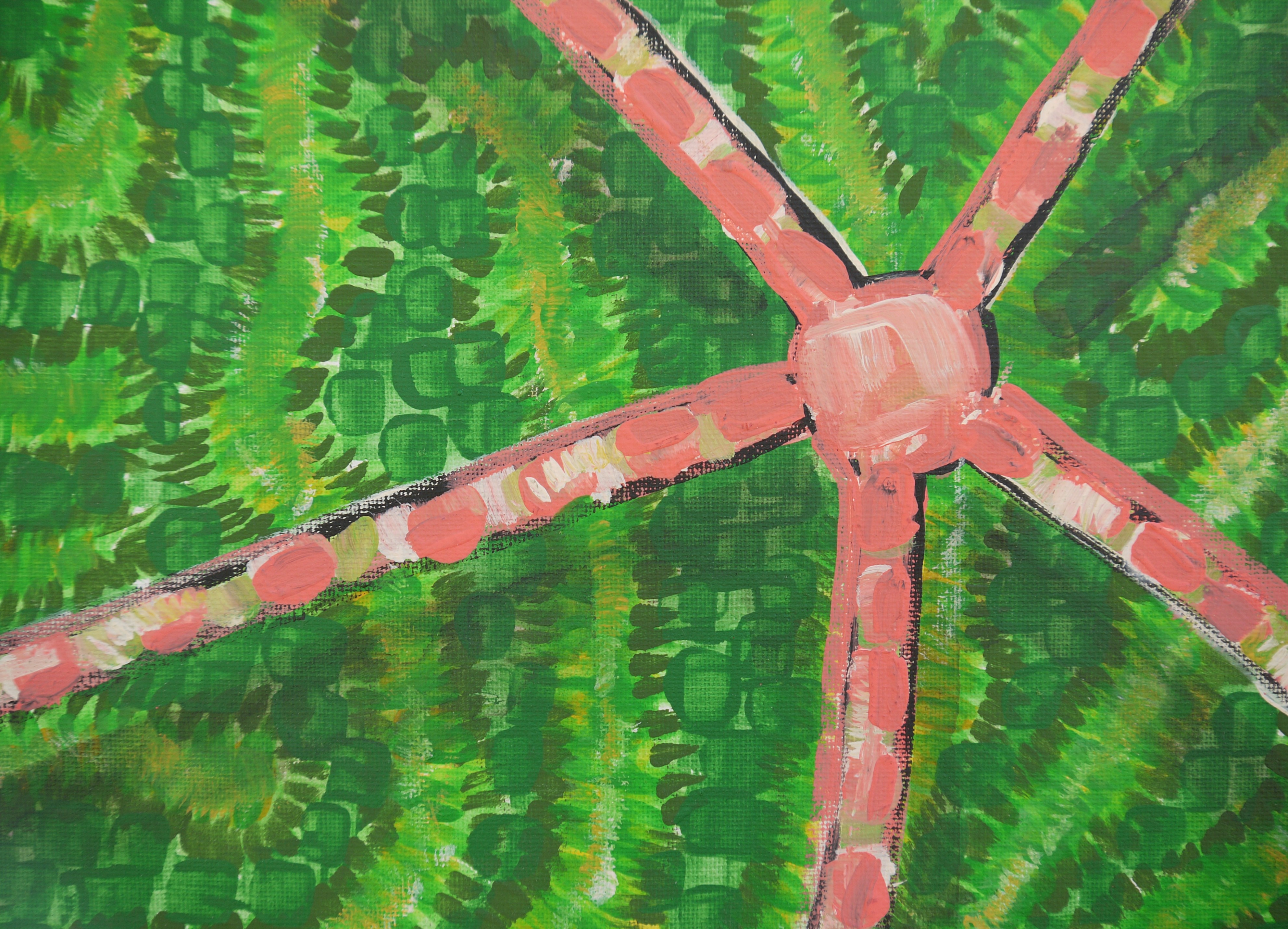 Wilf - Five-armed brittle star