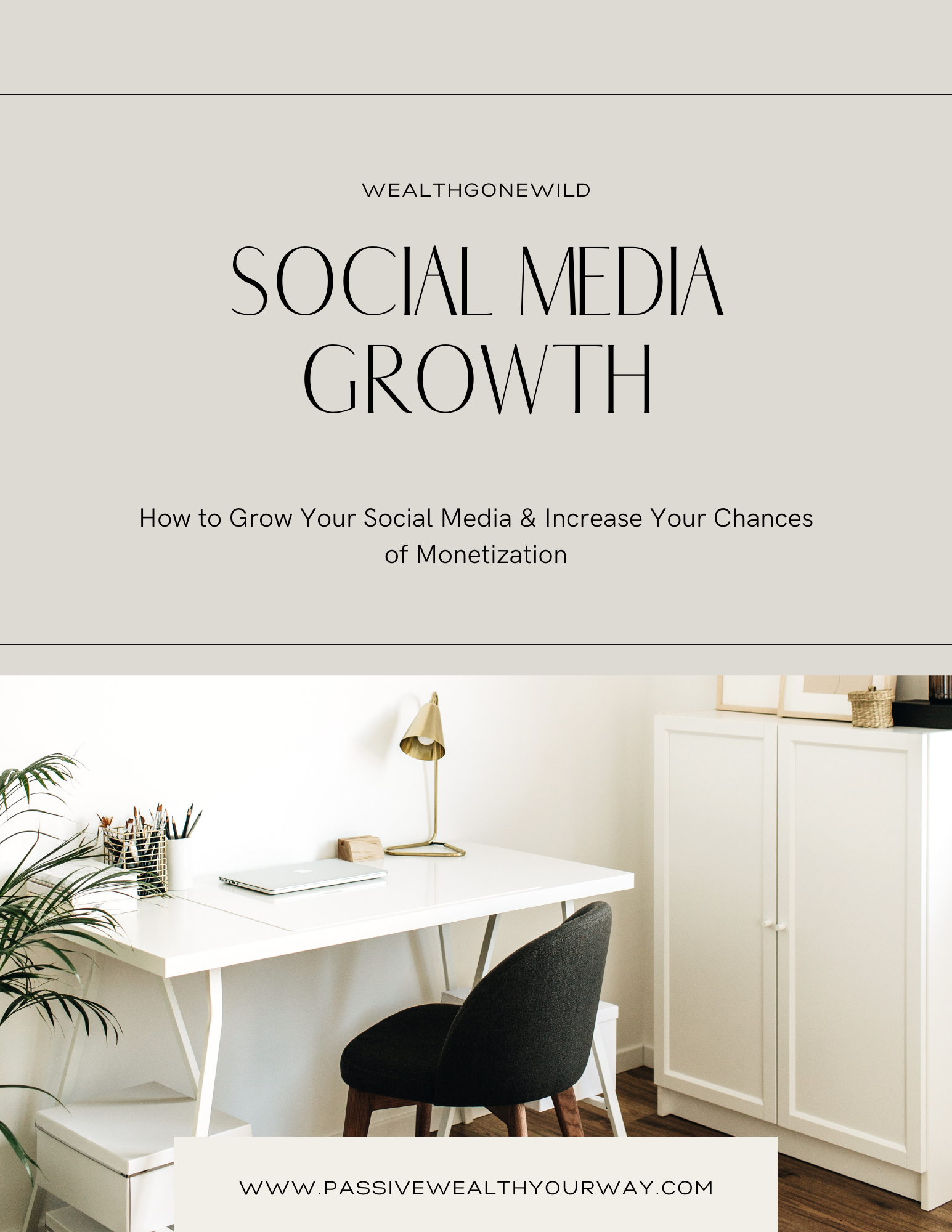 Social Media Growth Guide for Beginners